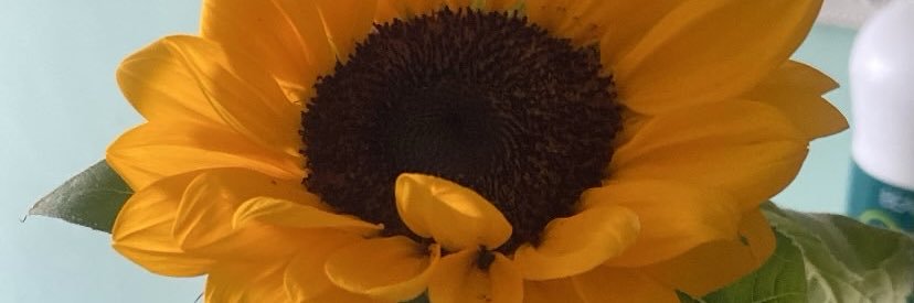 schmackerlet's profile banner image