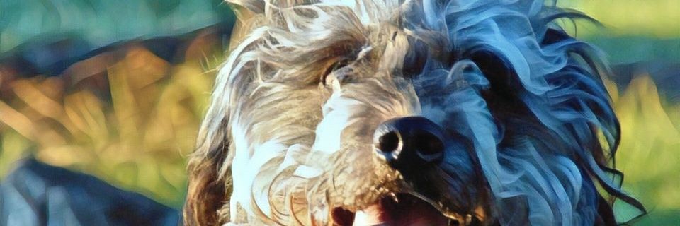 _Coni_Nicole_'s profile banner image