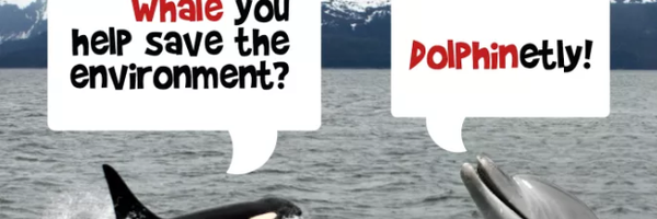 iM_OcKay Profile Banner