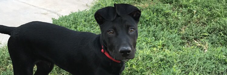 EvanMLane's profile banner image
