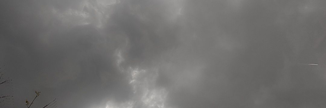 Paridhigoel2's profile banner image