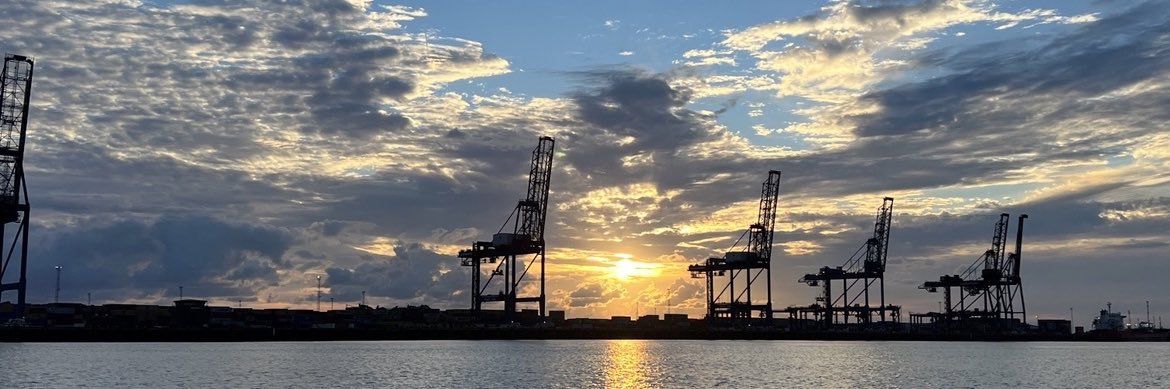 Dave Roberts ♿️🔸 banner