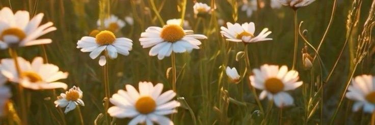 gladdsdyss's profile banner image