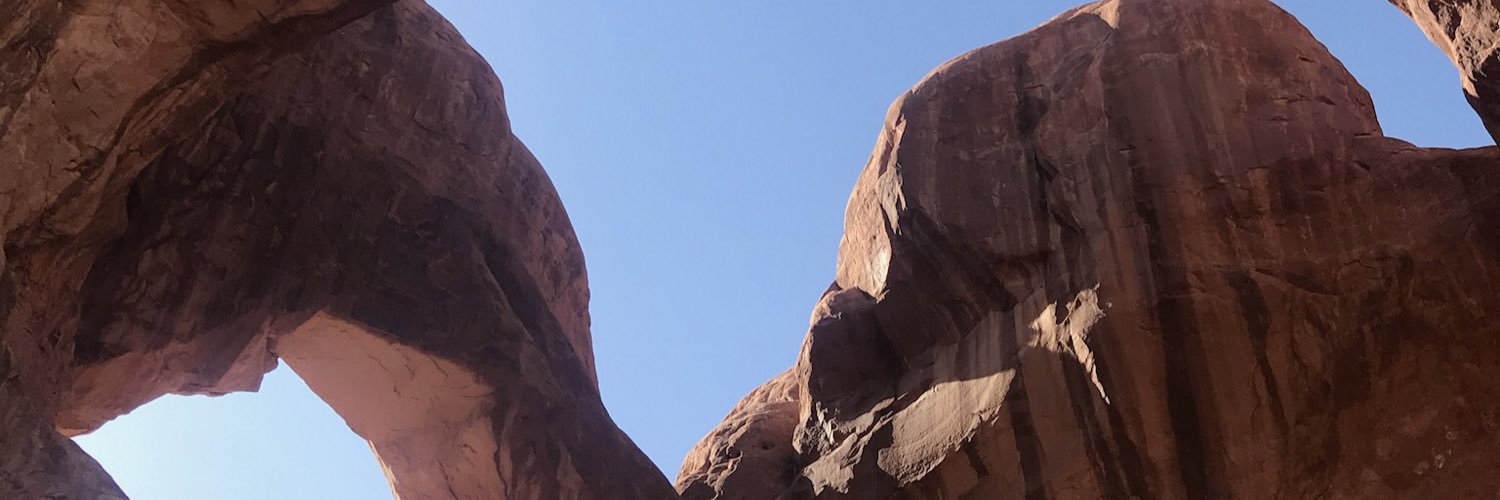 lauracfitz's profile banner image