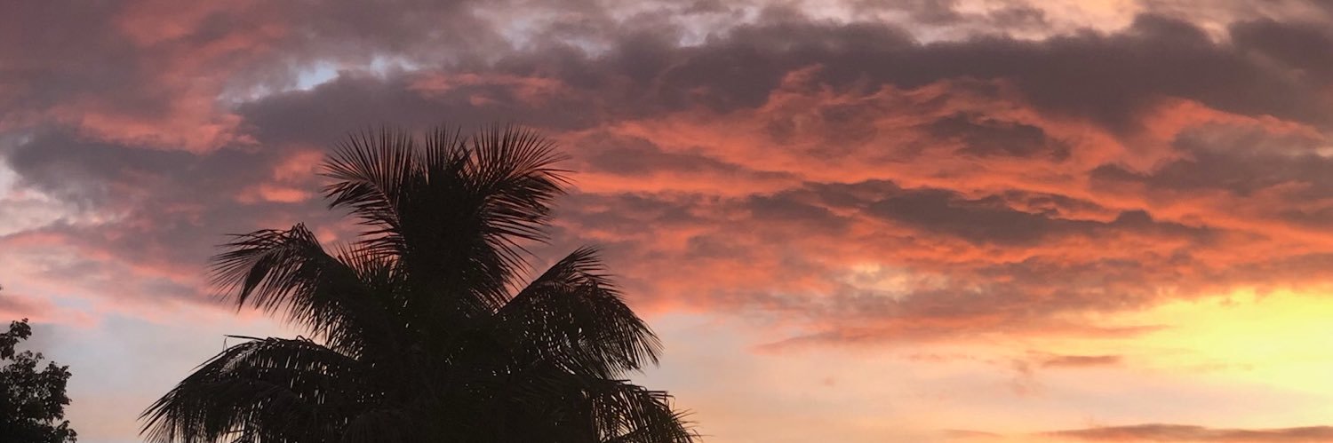 COLPurple's profile banner image