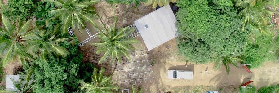 Hannah Sloan Wood banner