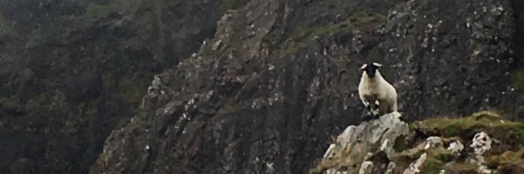 Paigeewa's profile banner image