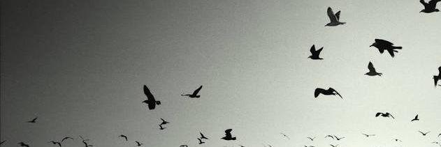 sema_merdan's profile banner image