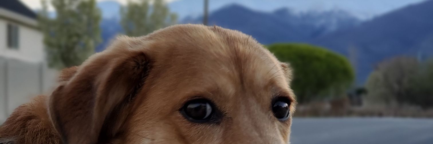 graciee_77's profile banner image