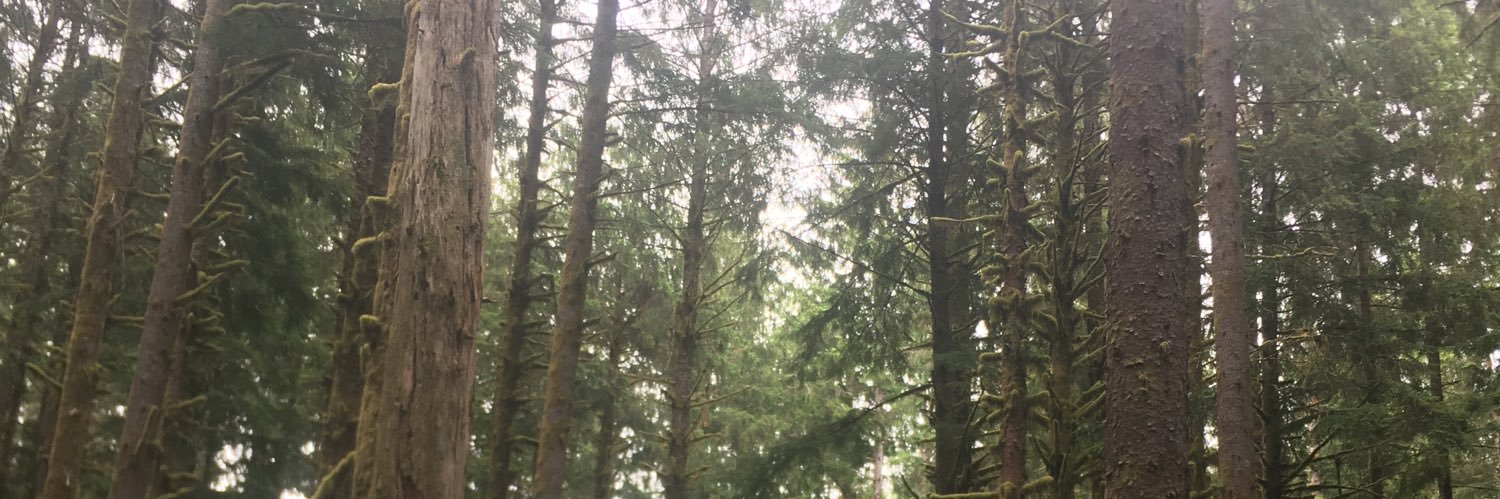 CrossPeach's profile banner image