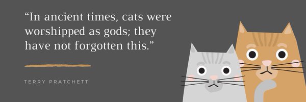 ParentingAuthor Profile Banner