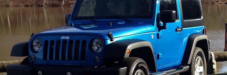 Chris DeLuca banner