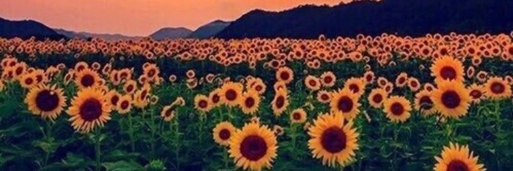 _jademcD's profile banner image