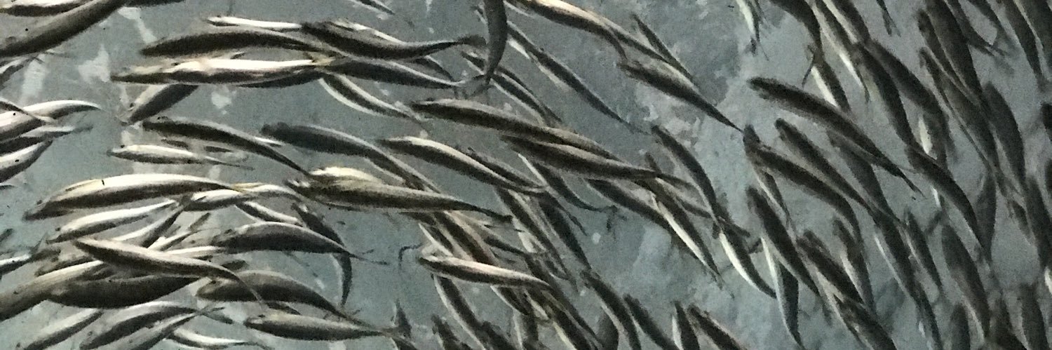 MrsGuza's profile banner image