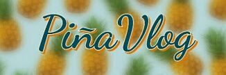 Sthebanvlog banner
