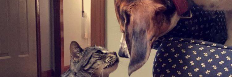 carly_will20's profile banner image