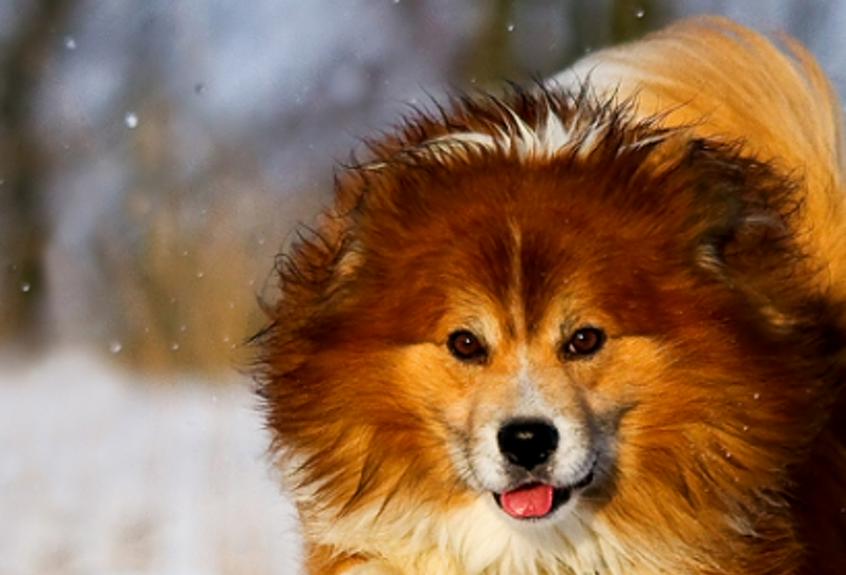 topagynd's profile banner image
