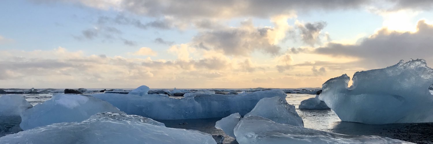 Evi Cárdenas banner