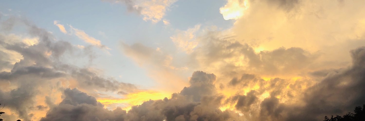 nei_castro's profile banner image