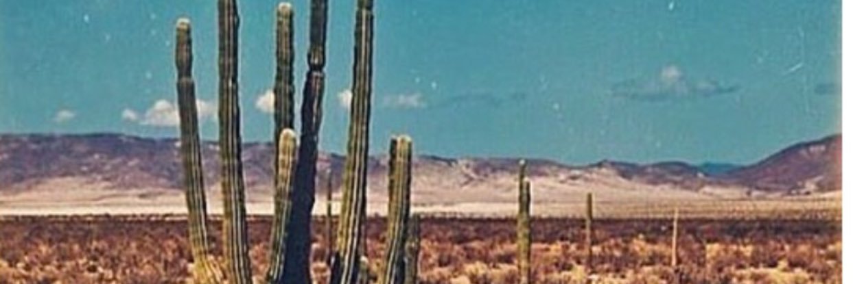 Annta_Lee's profile banner image