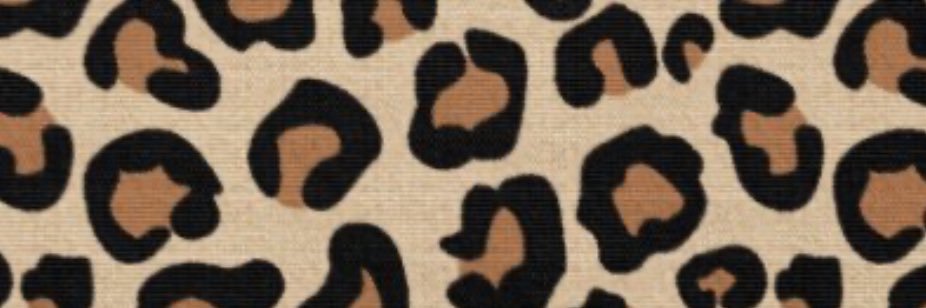 CheetahNLeopard's profile banner image