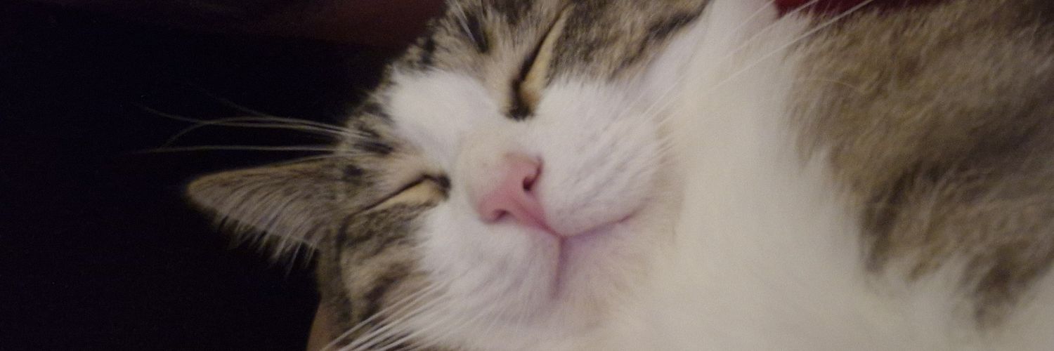 Omid 🇮🇷 banner