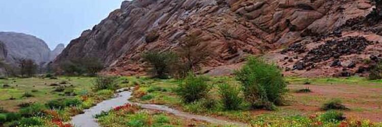 AbuBander_A's profile banner image