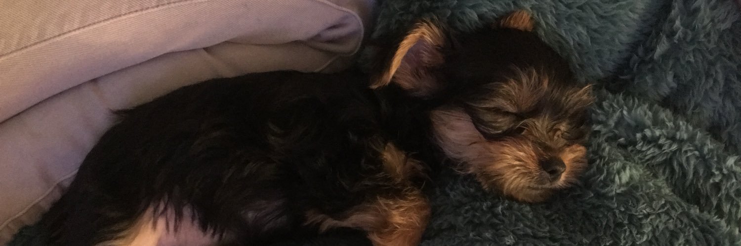 allyannabailey's profile banner image