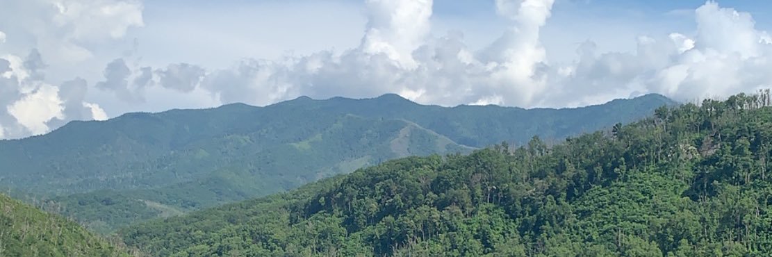 BrandyCoarsey's profile banner image