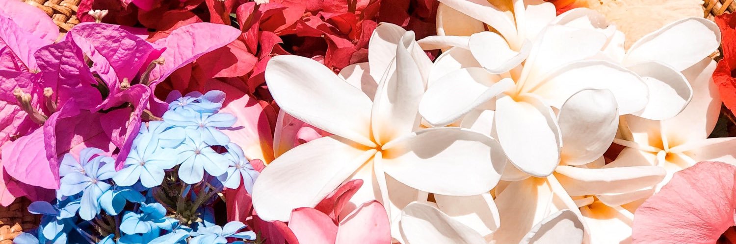 2011_VN_LOTUS's profile banner image