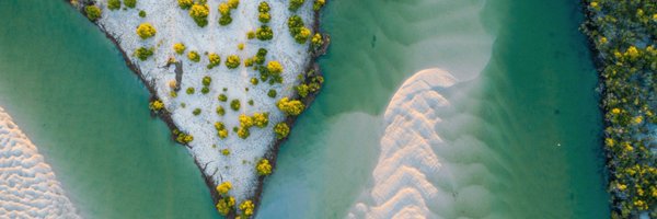 alexoppes Profile Banner