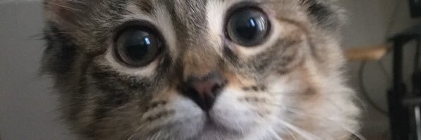 Abaird_'s profile banner image