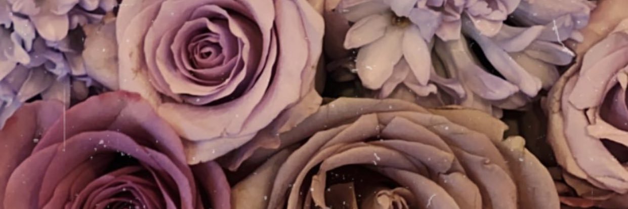 _StephCeballos's profile banner image