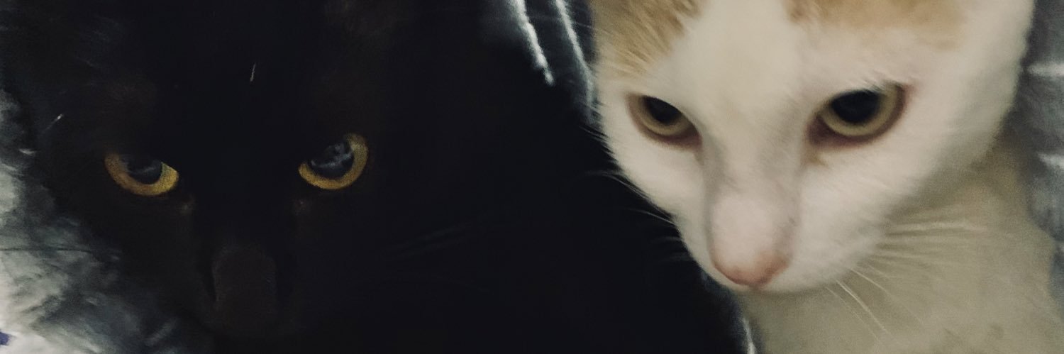 imaraujo00's profile banner image