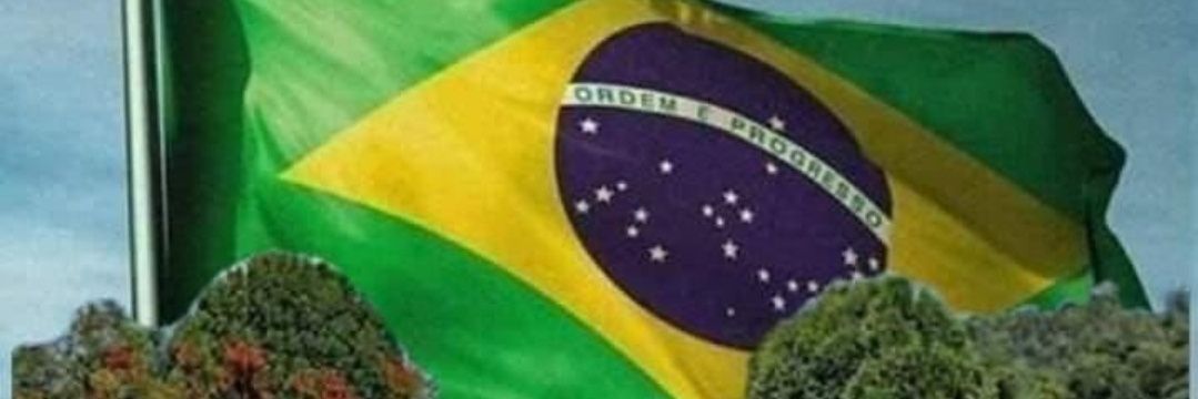 Marcio Pimenta banner