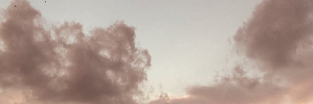 Niilyld's profile banner image