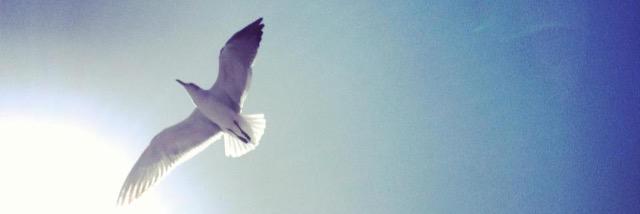 Mari_Shanti's profile banner image