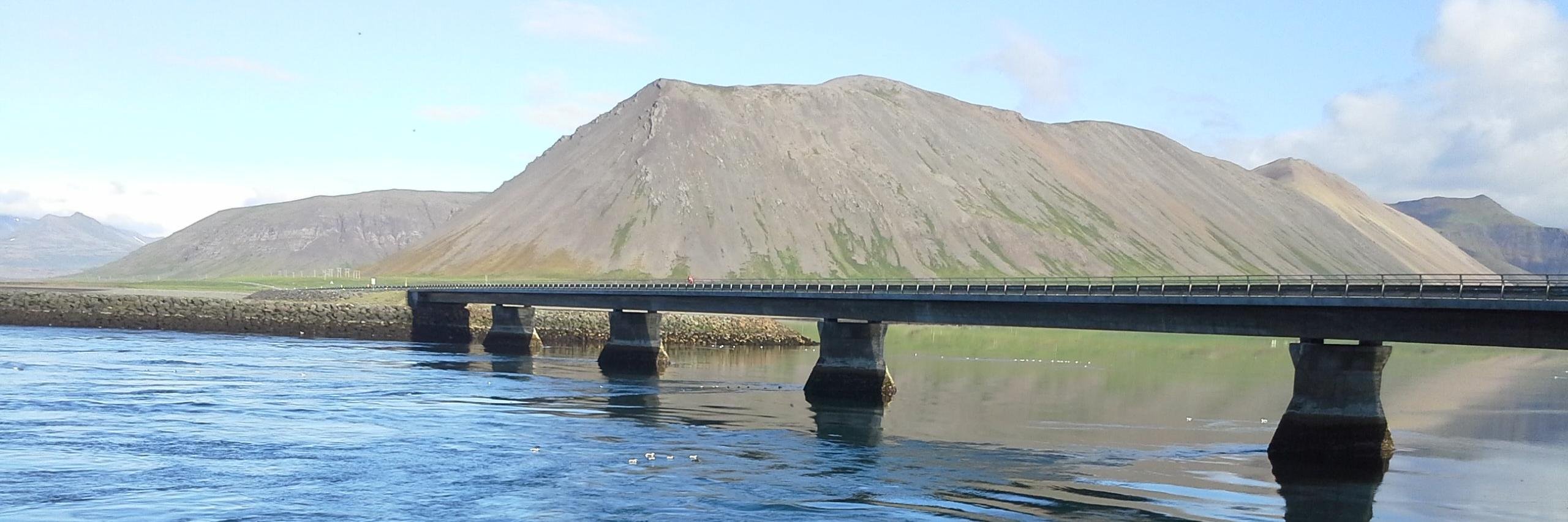 Matt Zimmerman banner