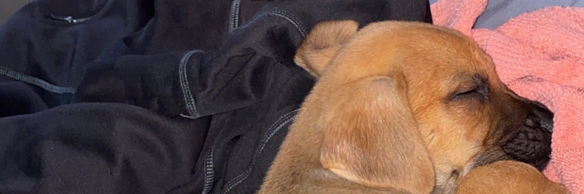 OXOX_4Ever's profile banner image