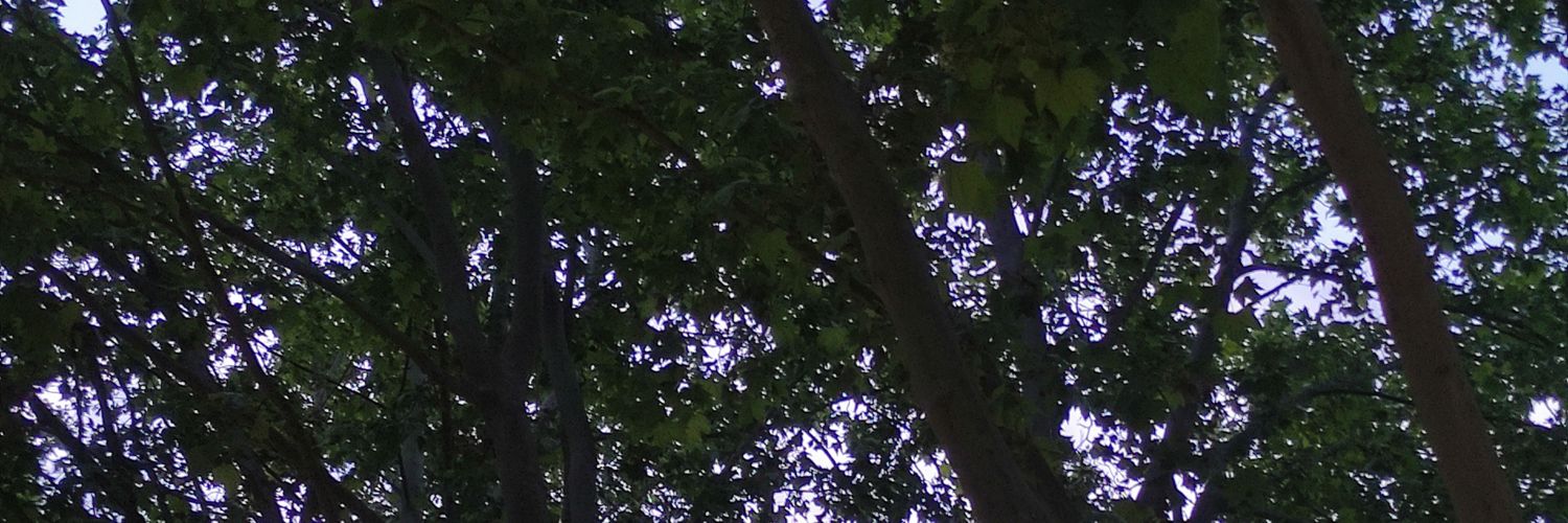Empt_Ink's profile banner image
