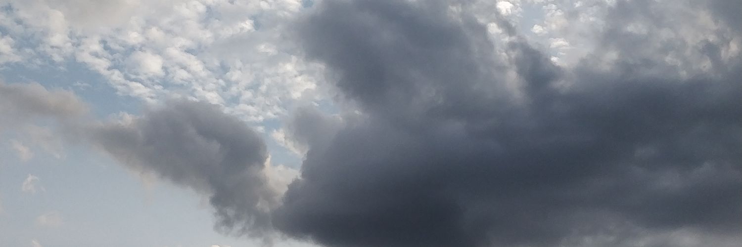 Superflopper's profile banner image