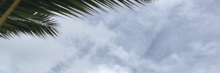 taeblvir's profile banner image