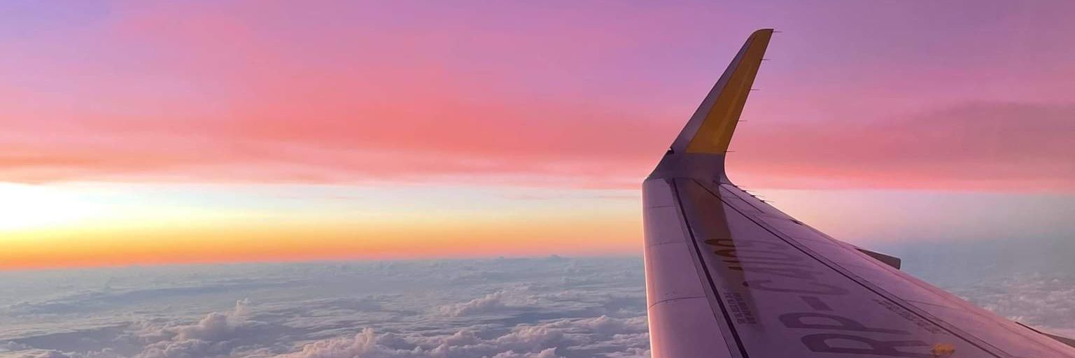 madamesse_'s profile banner image