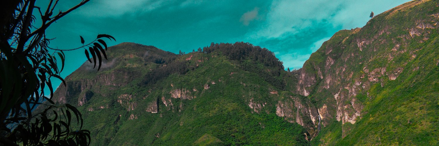 panda_state's profile banner image