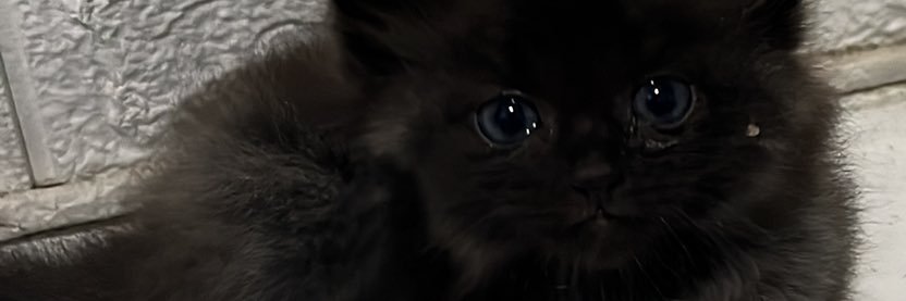 ratihazZ's profile banner image