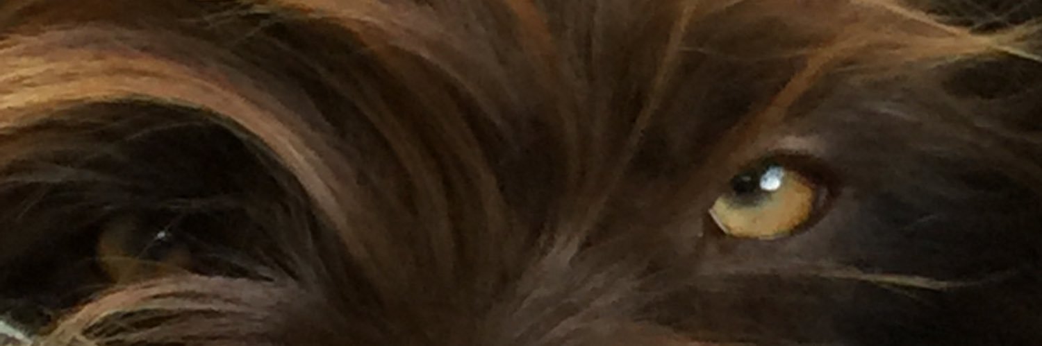 tuleeboone's profile banner image