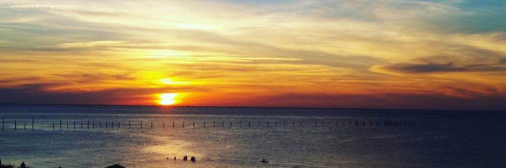 Bridgett_Day_'s profile banner image