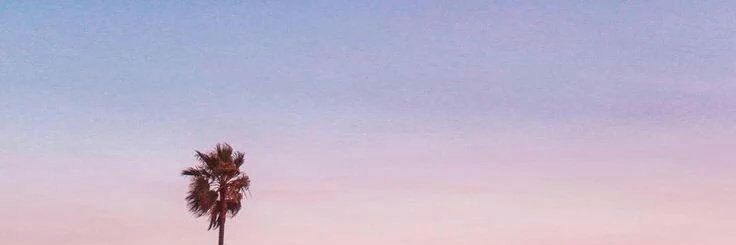 icha_ncut's profile banner image