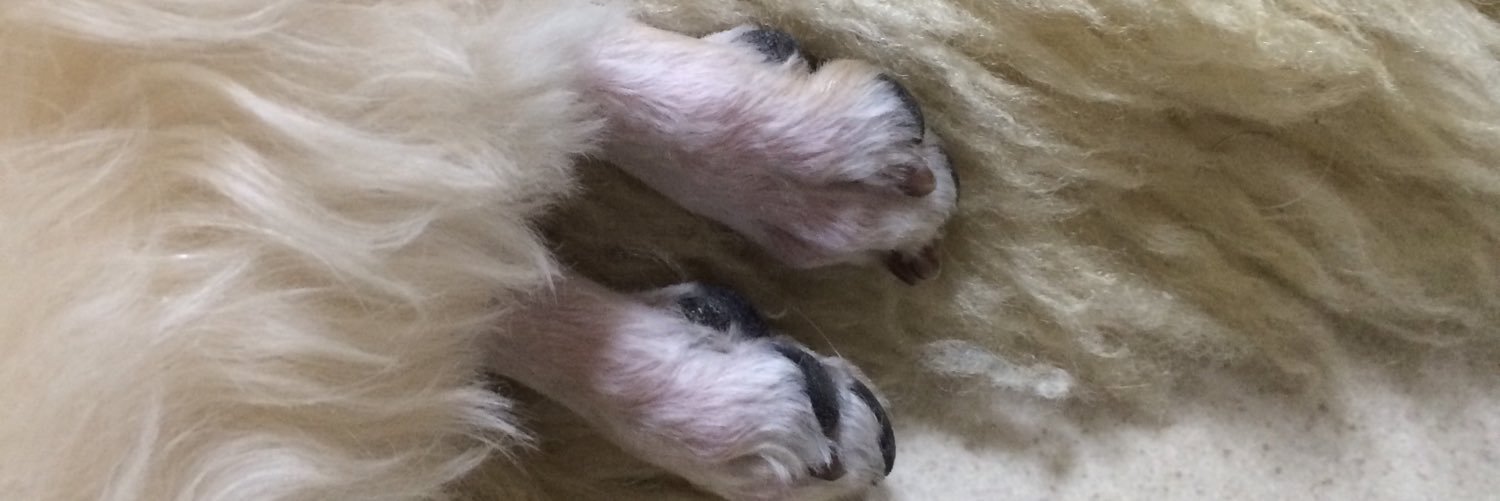 macccccccco's profile banner image