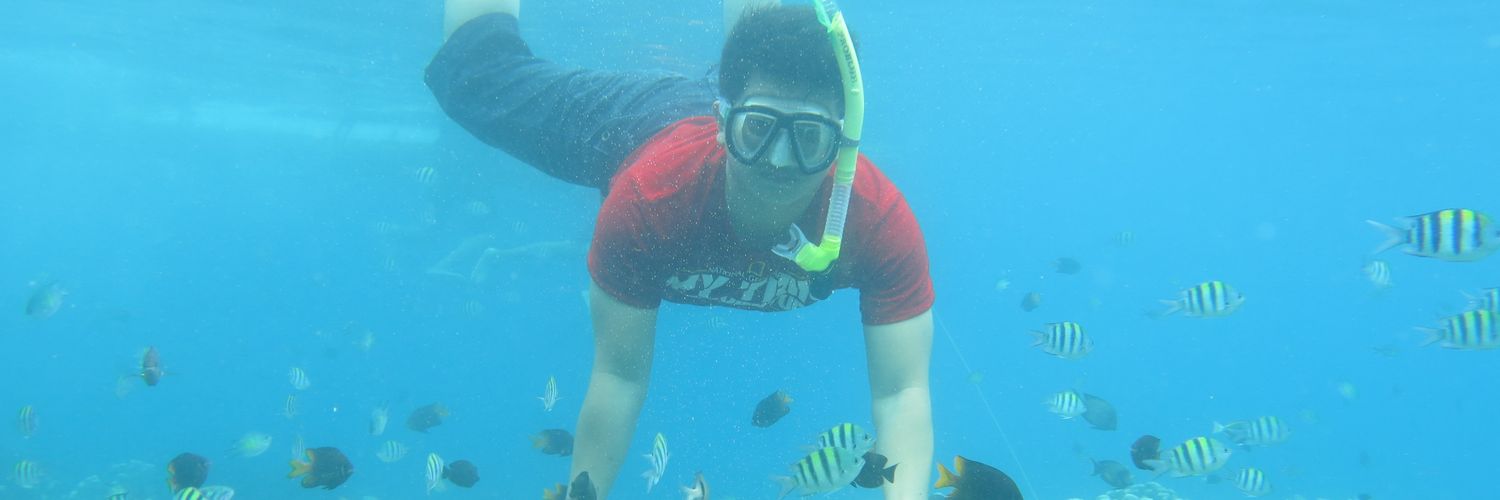 MarioAlmanso's profile banner image